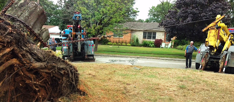 Tree work, Grand Haven, MI 49417